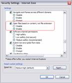 Internet Explorer Security Setting Dialog setting to open files based on content, not extension 