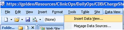 Insert Data View