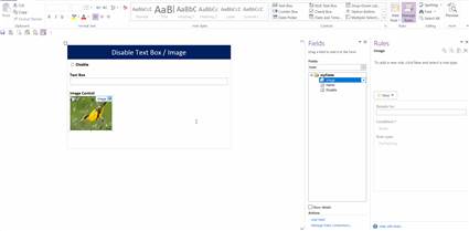 Qdabra Forms Training: Disable Text Box and Image